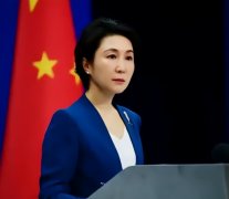 间接对降服佩服”